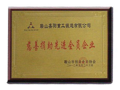 慈善捐助先進(jìn)會(huì )員企業(yè)